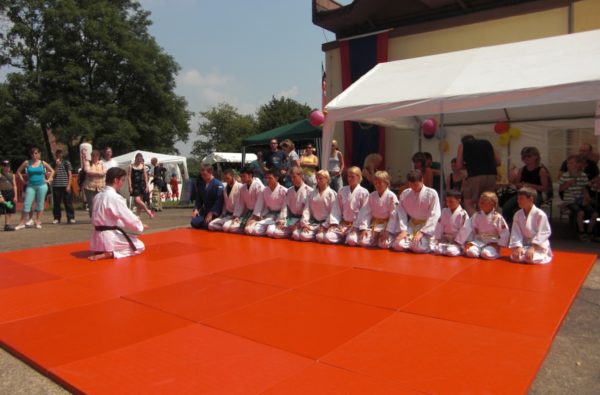 Judovorführung bei dem Feuerwehrjubiläum Wartenberg 2009